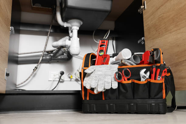 Best Plumbing Inspection Services  in Bent, NE